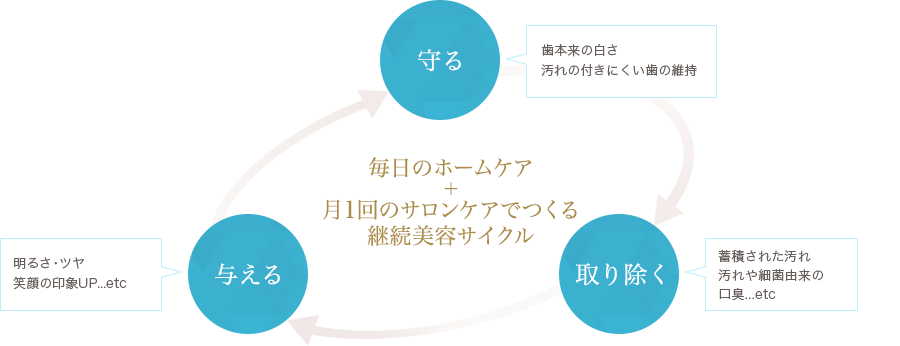 オーラルケアのサイクル